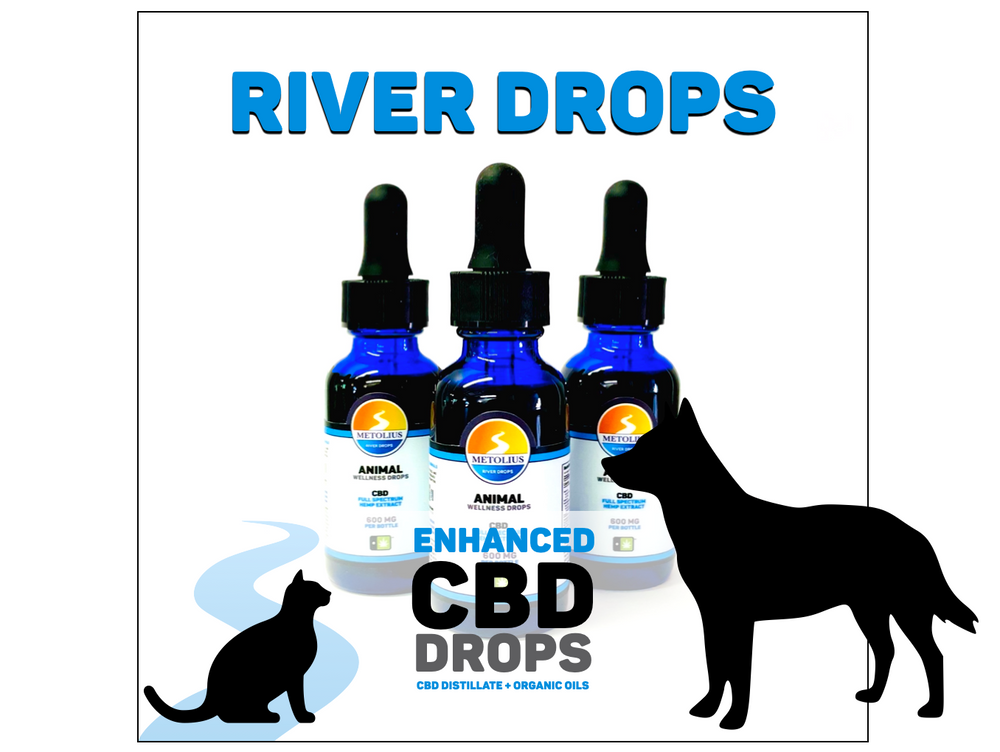 Improving Your Pet's Quality Of Life With CBD Tinctures - Metolius River Drops Are Now Here